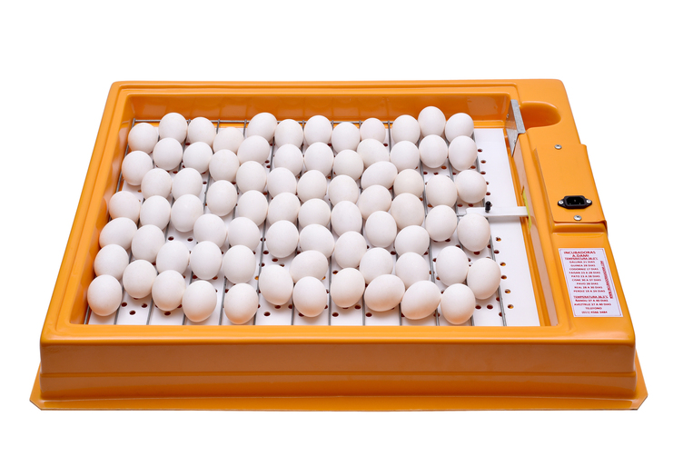Incubadora de aves de 96 huevos