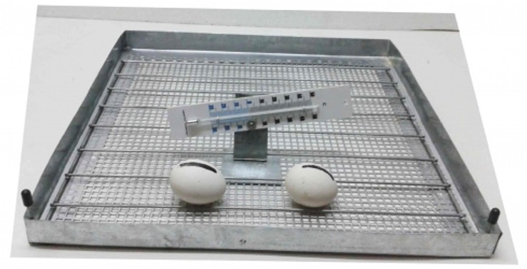 Incubadora de aves de 120 huevos